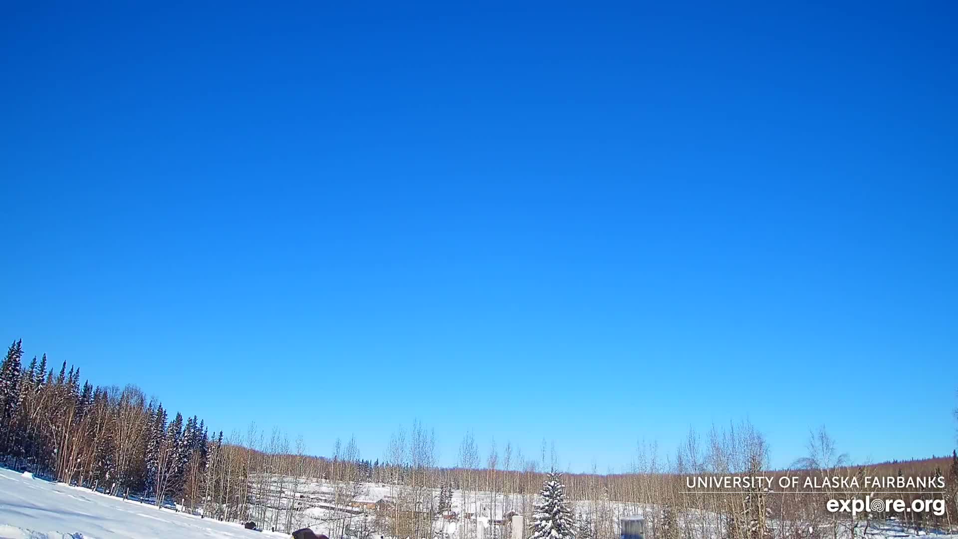 University of Alaska, Fairbanks North Star Northern Lights / Aurora Borealis / Stars View Live Cam - Faibanks, Fairbanks North Star, Alaska, USA