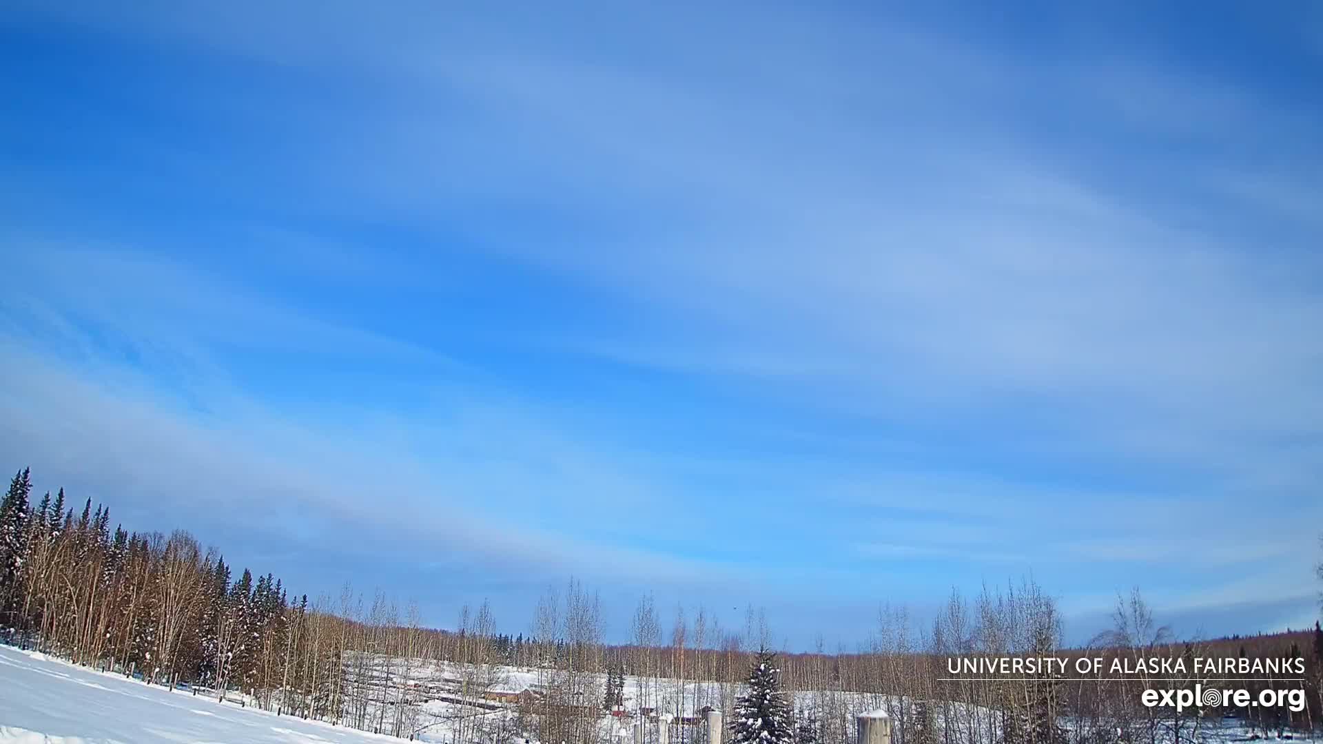 University of Alaska, Fairbanks North Star Northern Lights / Aurora Borealis / Stars View Live Cam - Faibanks, Fairbanks North Star, Alaska, USA