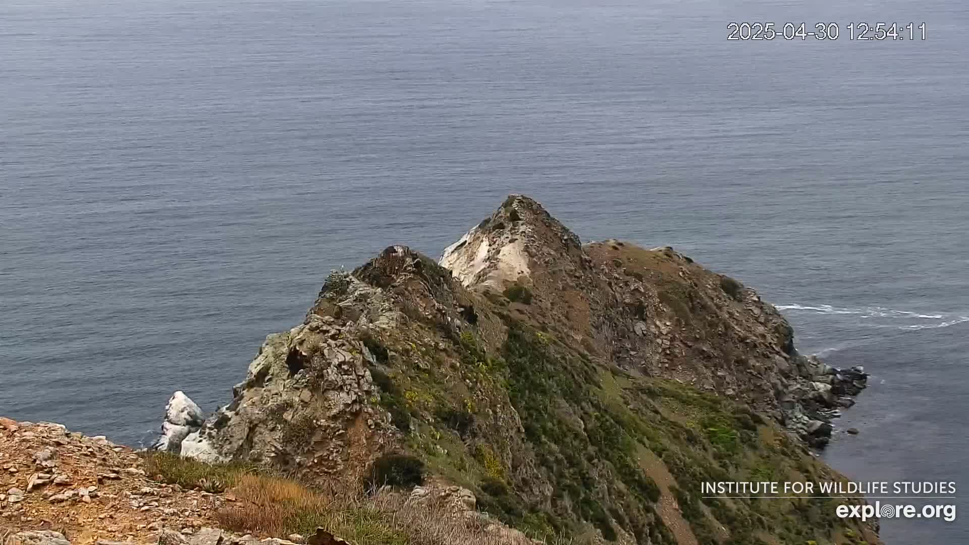 A rocky, vegetated cliffside overlooking a calm ocean.