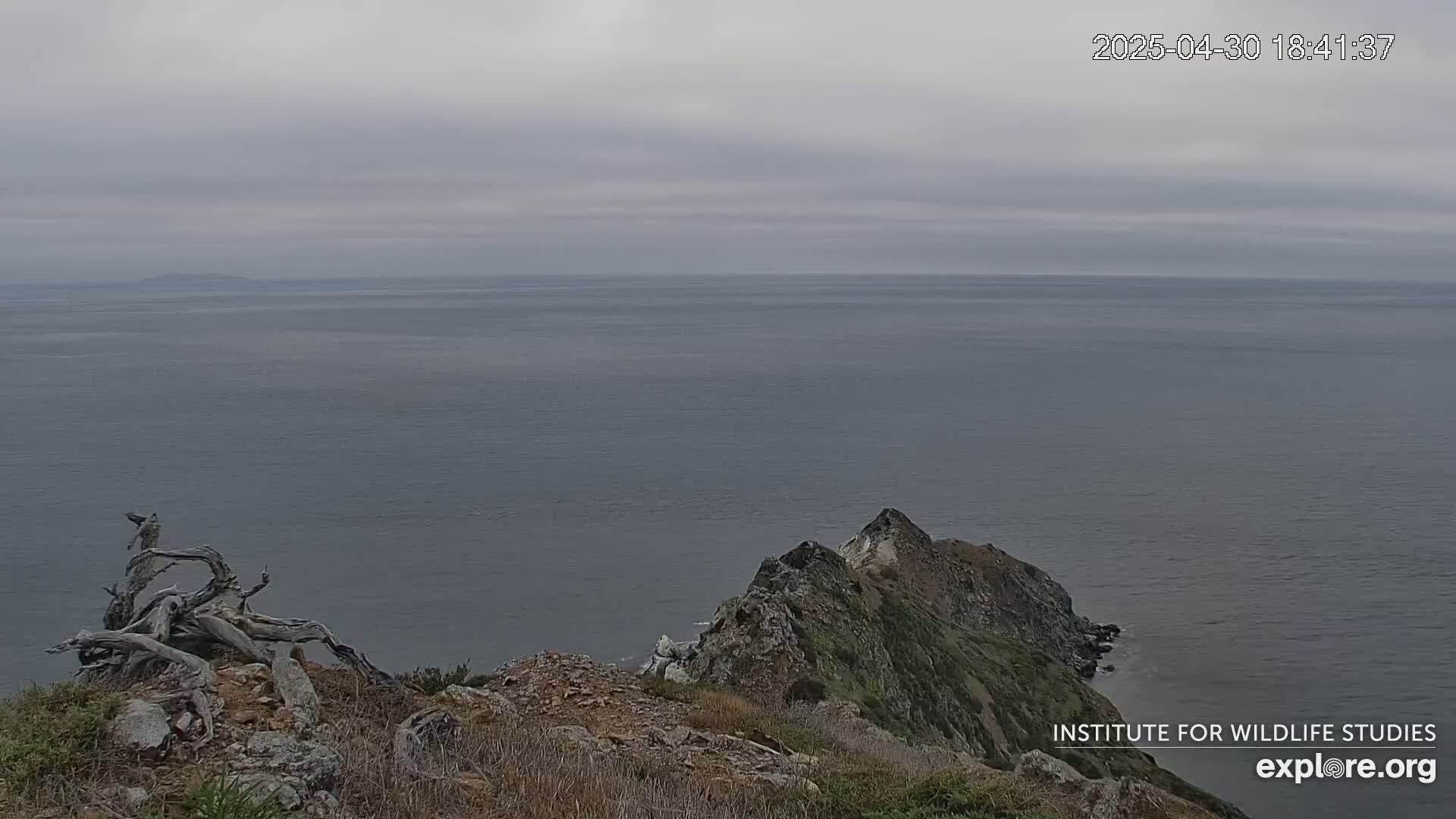 A rocky, vegetated cliff overlooks a calm, grey ocean under an overcast sky.