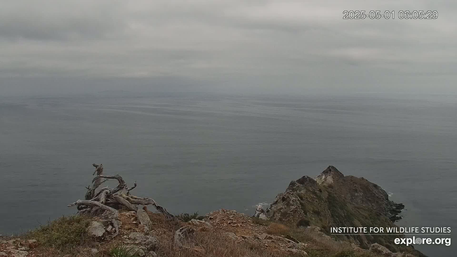 A gray, overcast sky overlooks a rocky coastline and a large expanse of calm, gray ocean.