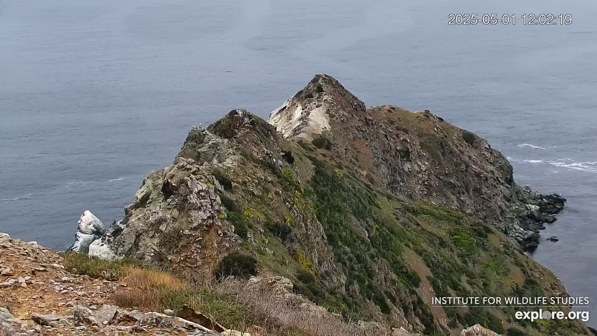 A rocky, vegetated cliff overlooking a calm ocean.