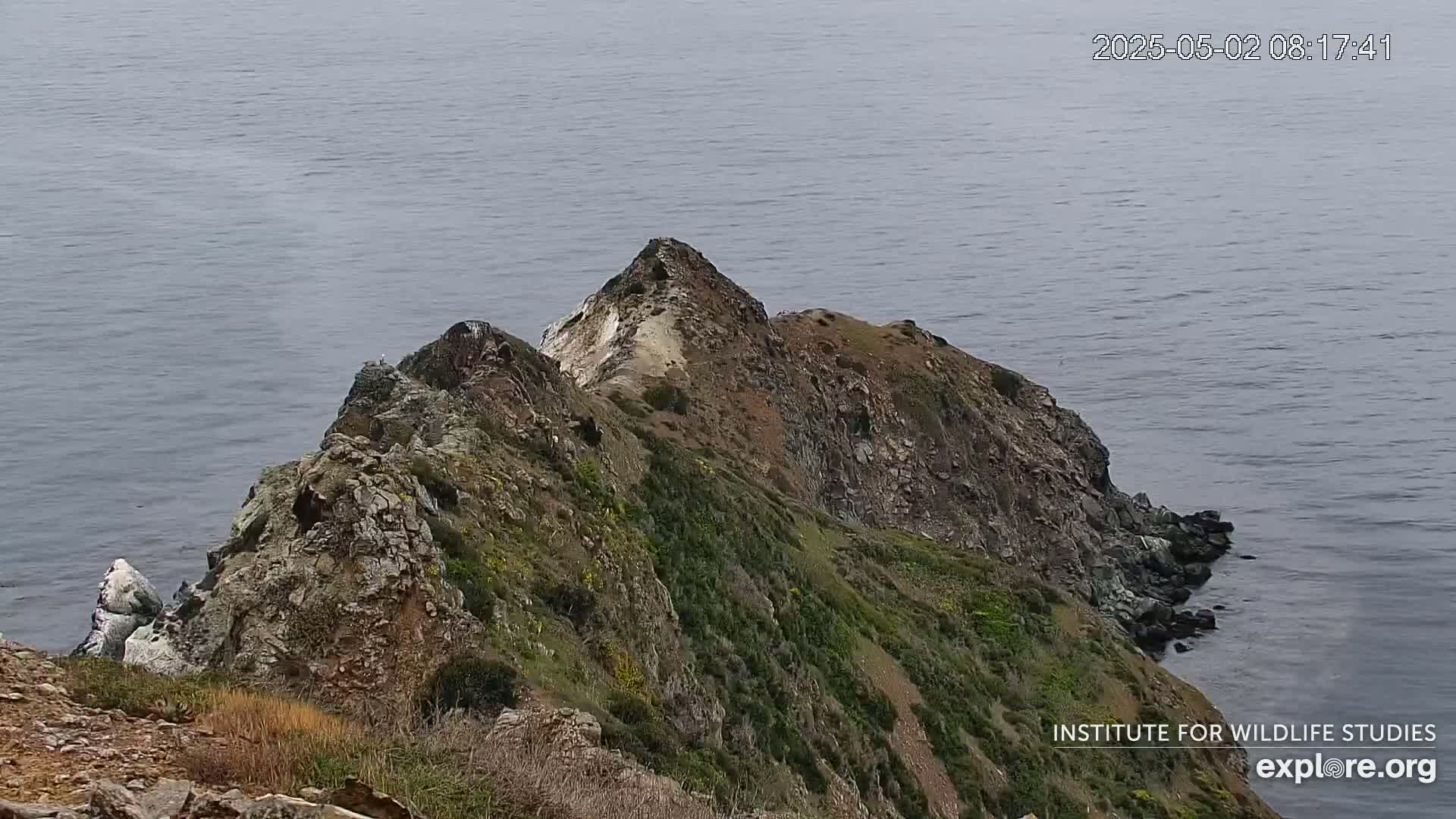 A rocky, vegetated cliffside descends to a calm ocean.