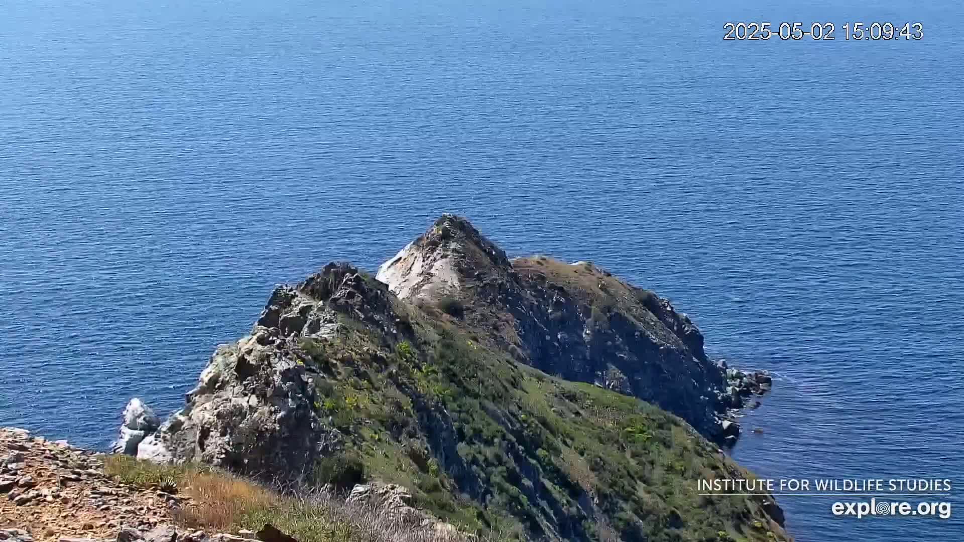 A rocky, vegetated cliff overlooking a calm blue ocean on a sunny day.