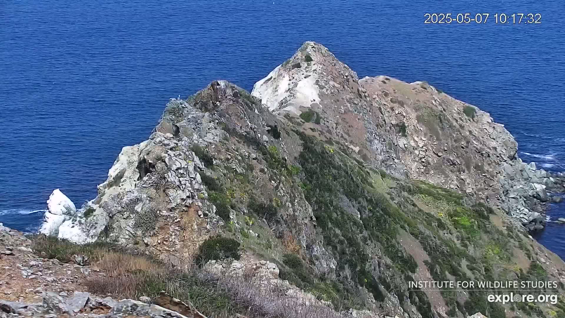 A rocky, sparsely vegetated cliff face overlooking a deep blue ocean on a sunny day.