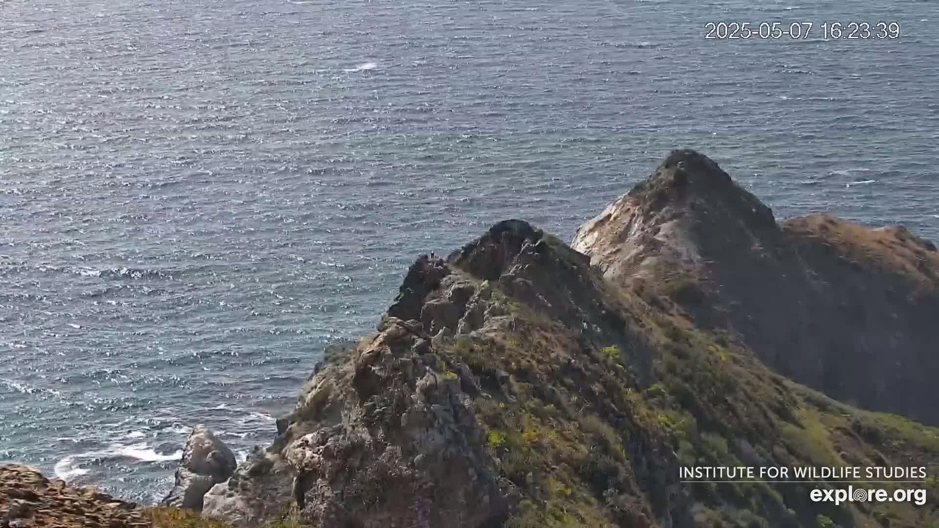 A rocky, scrub-covered cliff overlooks a wavy ocean under a bright, sunny sky.