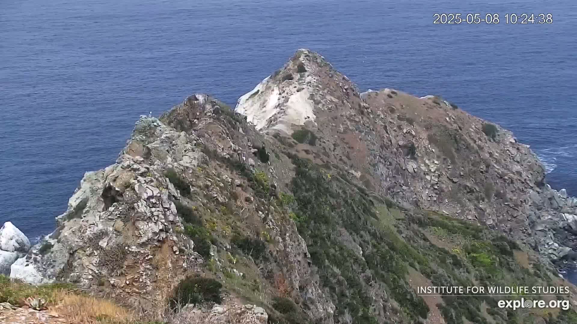 A rocky, vegetated cliffside juts into a calm, blue ocean under a clear sky.