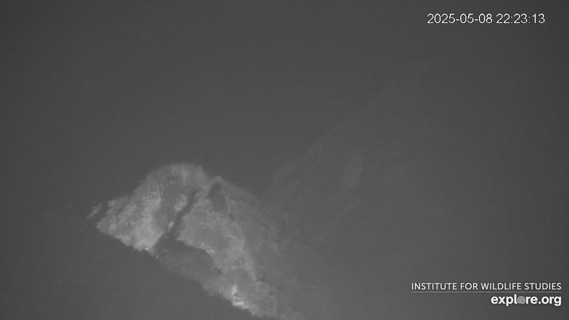 A low-light image shows a dark, rocky outcropping at night.