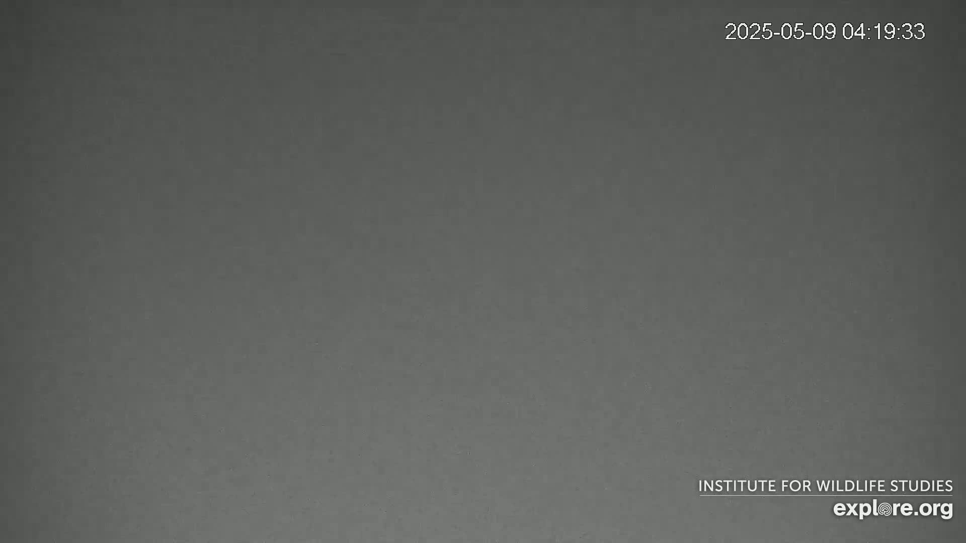 The image shows a uniformly dark gray surface.