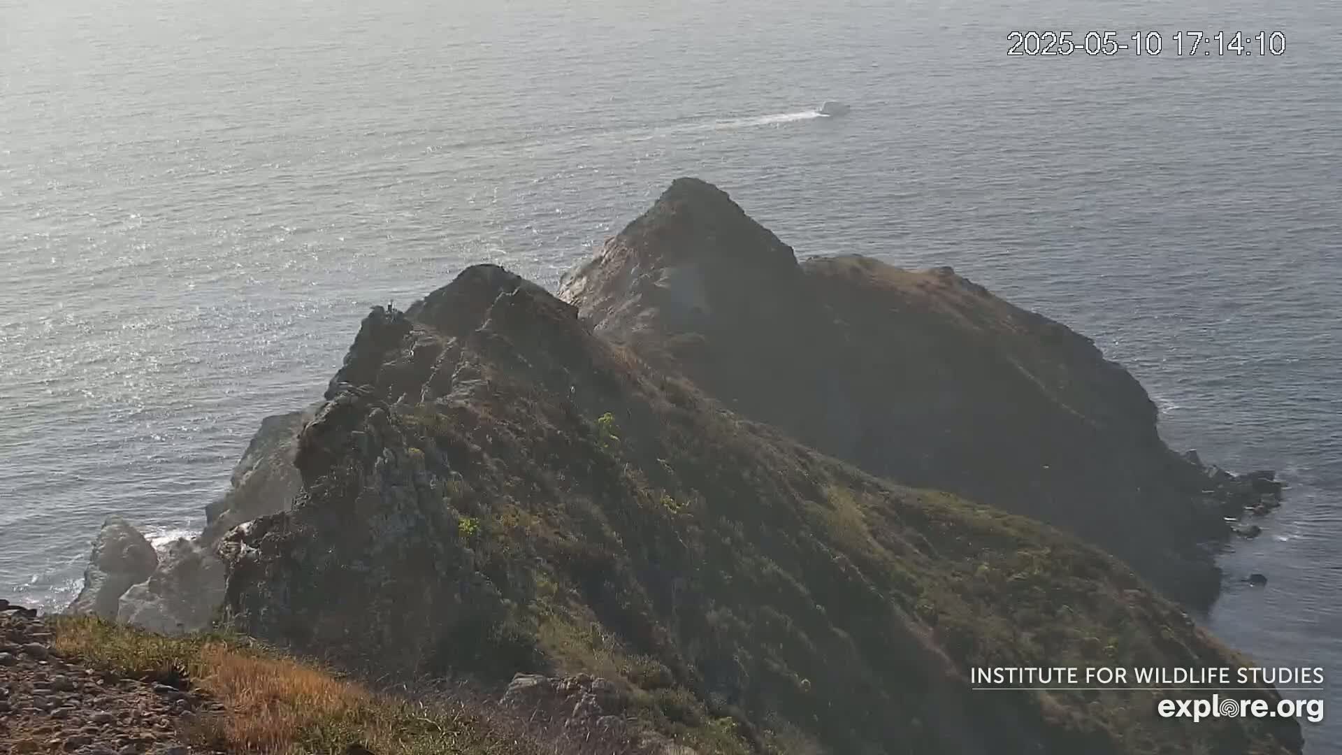 A rocky, vegetated coastal cliff overlooks a calm ocean with a small boat visible in the distance.