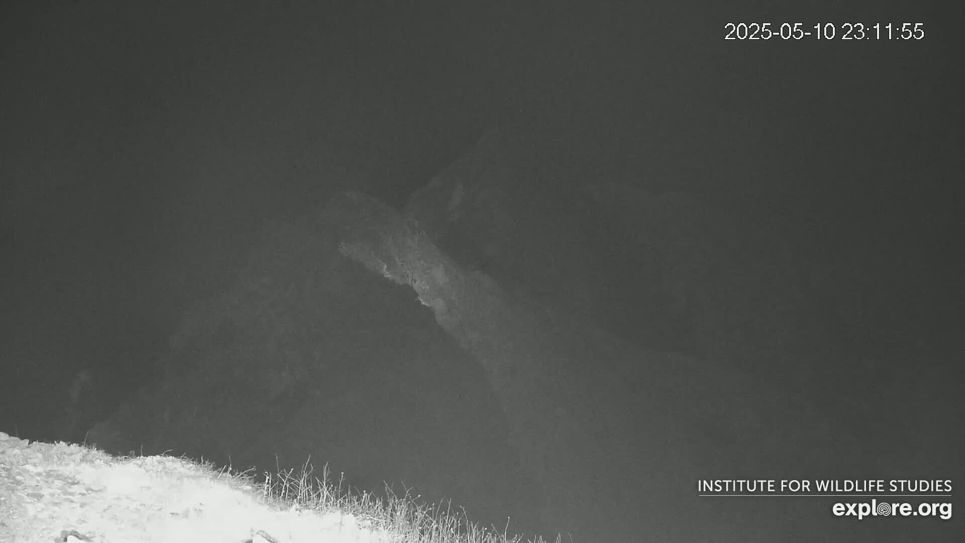 A nighttime, low-light image shows a dark, mountainous landscape with sparse vegetation at the bottom.