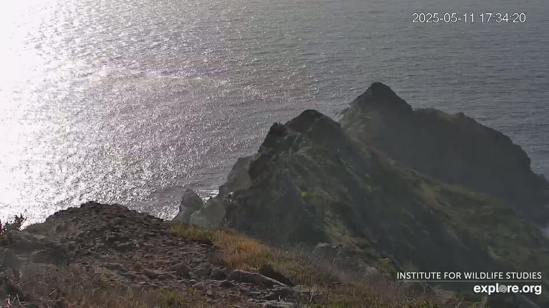 A rocky, vegetated cliff overlooks a sparkling ocean under a bright, sunny sky.