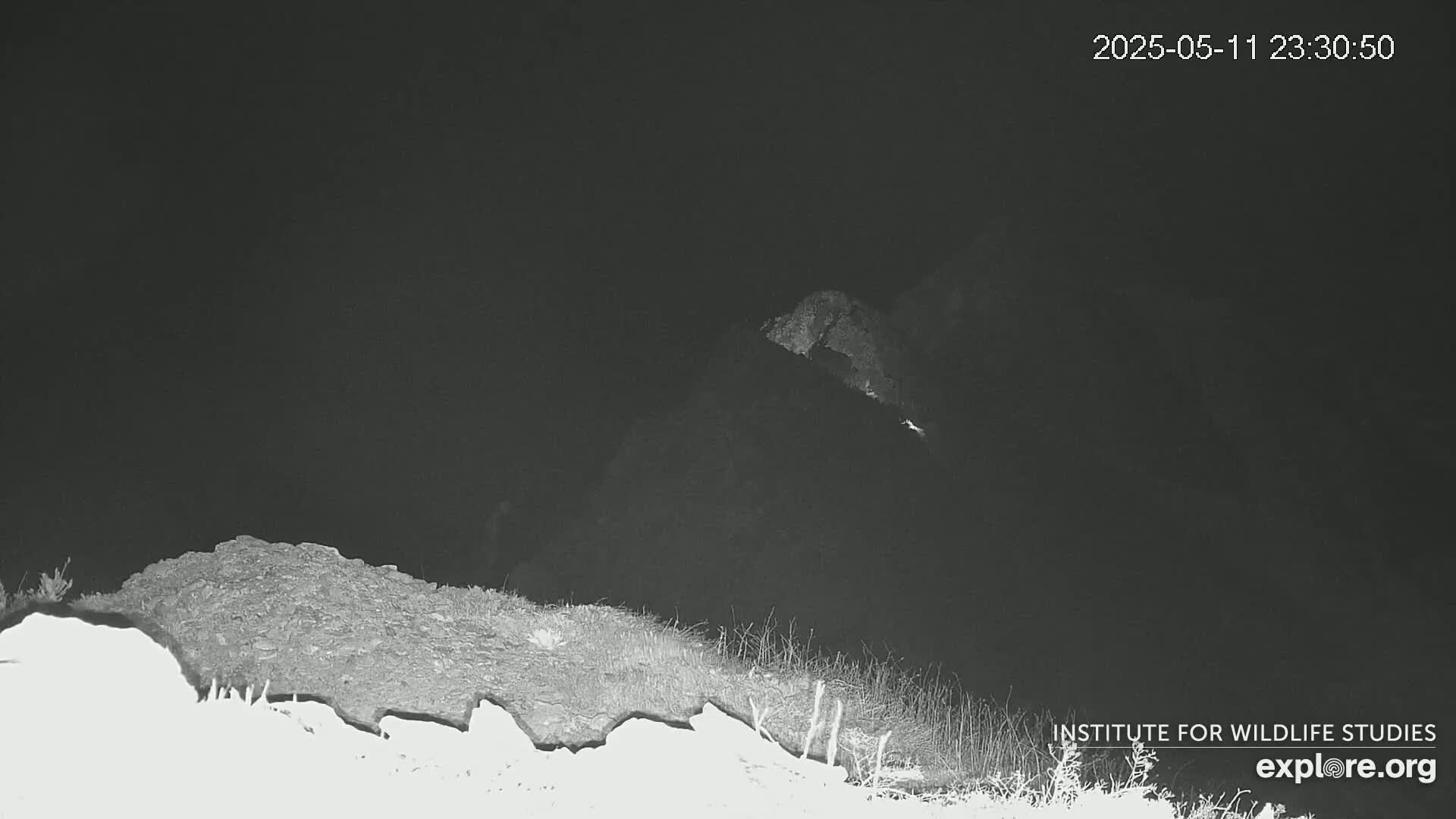 A nighttime, low-light image shows a rocky outcrop at the bottom of the frame with a larger, darker mass in the background under a dark sky.