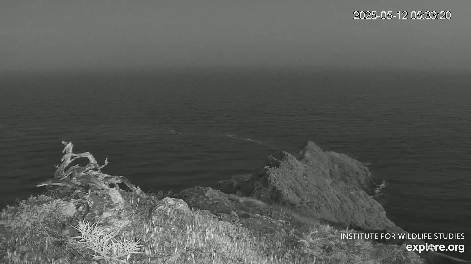 A rocky, plant-covered cliff overlooks a calm, gray ocean under an overcast sky.