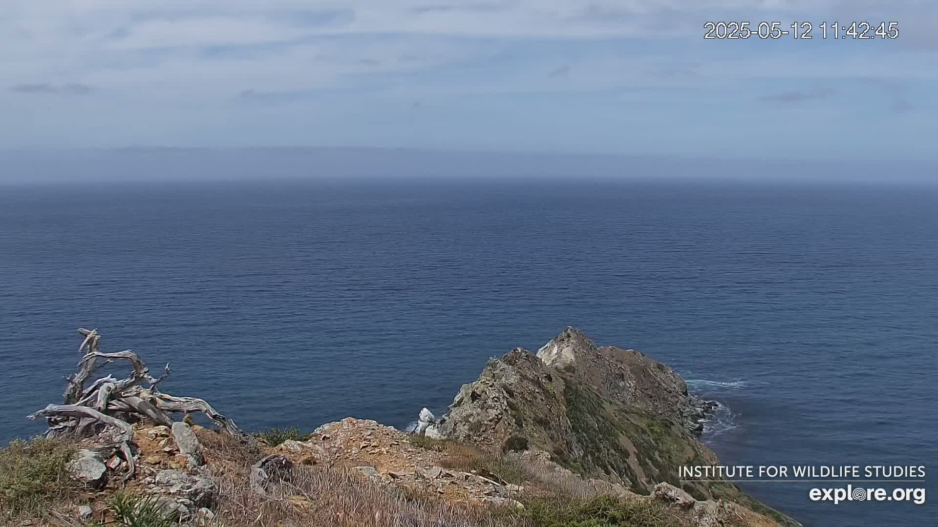 A rocky, arid coastline overlooks a calm, blue ocean under a mostly clear sky.