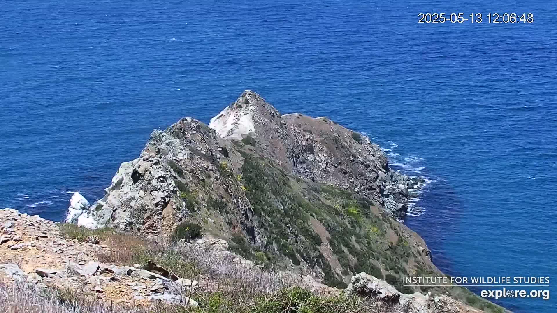 A rocky, vegetated cliff overlooks a calm, deep blue ocean on a sunny day.