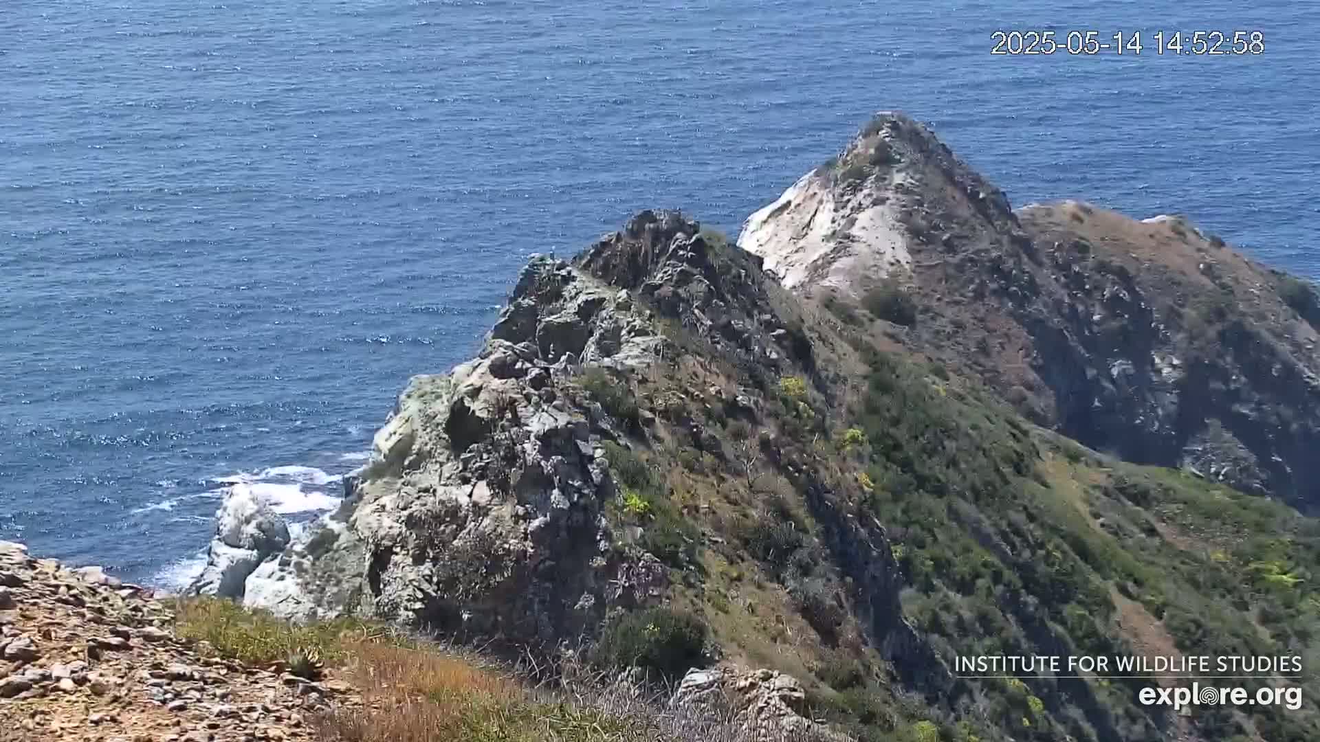 A rocky, sparsely vegetated cliffside overlooking a calm blue ocean.