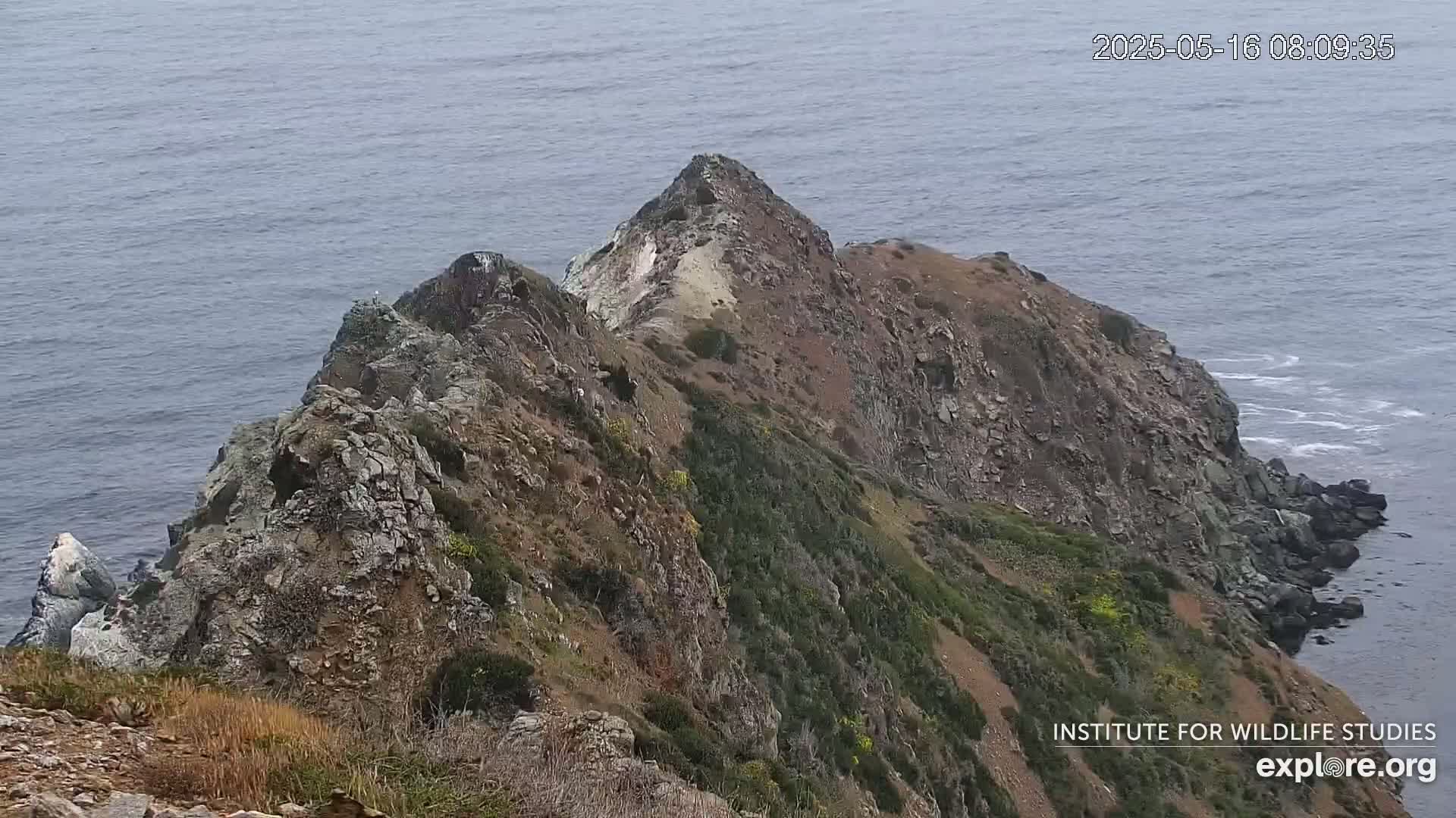 A rocky, vegetated cliffside descends to a calm ocean.