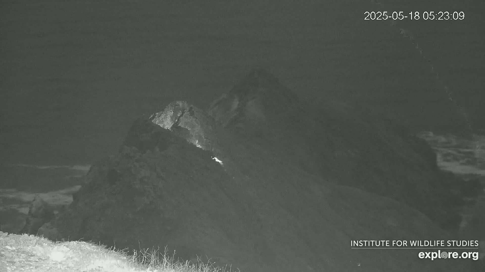 A nighttime, low-light image shows a rocky cliff overlooking a dark ocean under a cloudy sky.