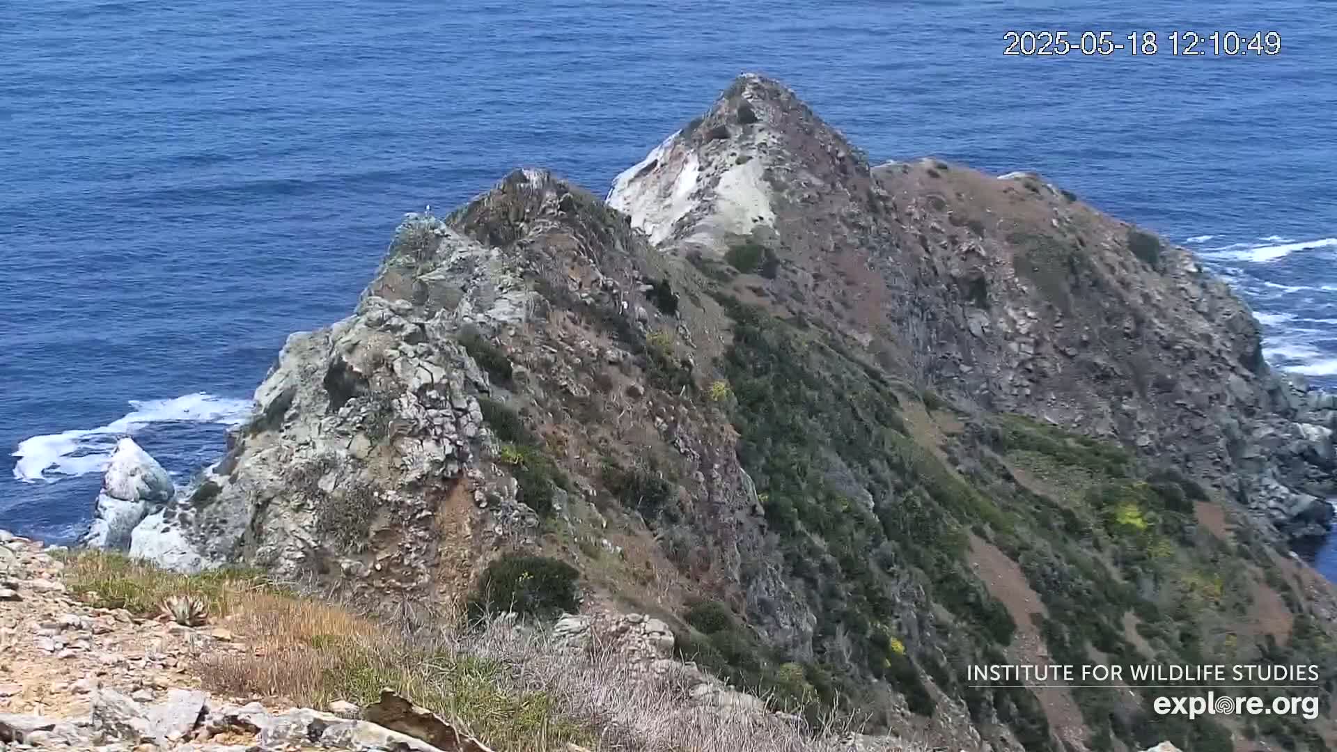 A rocky, scrub-covered cliff face overlooking a blue ocean with small waves.