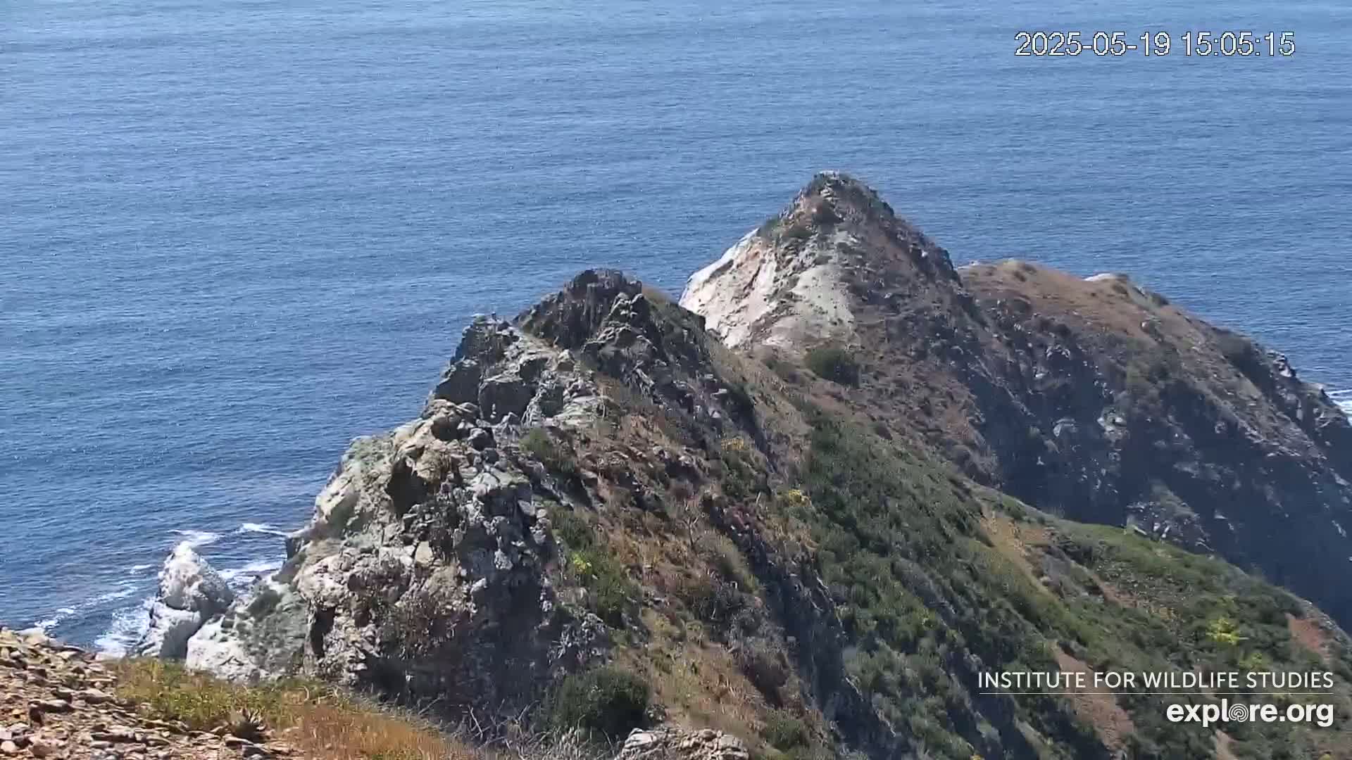 A rocky, vegetated cliffside overlooking a calm blue ocean on a sunny day.