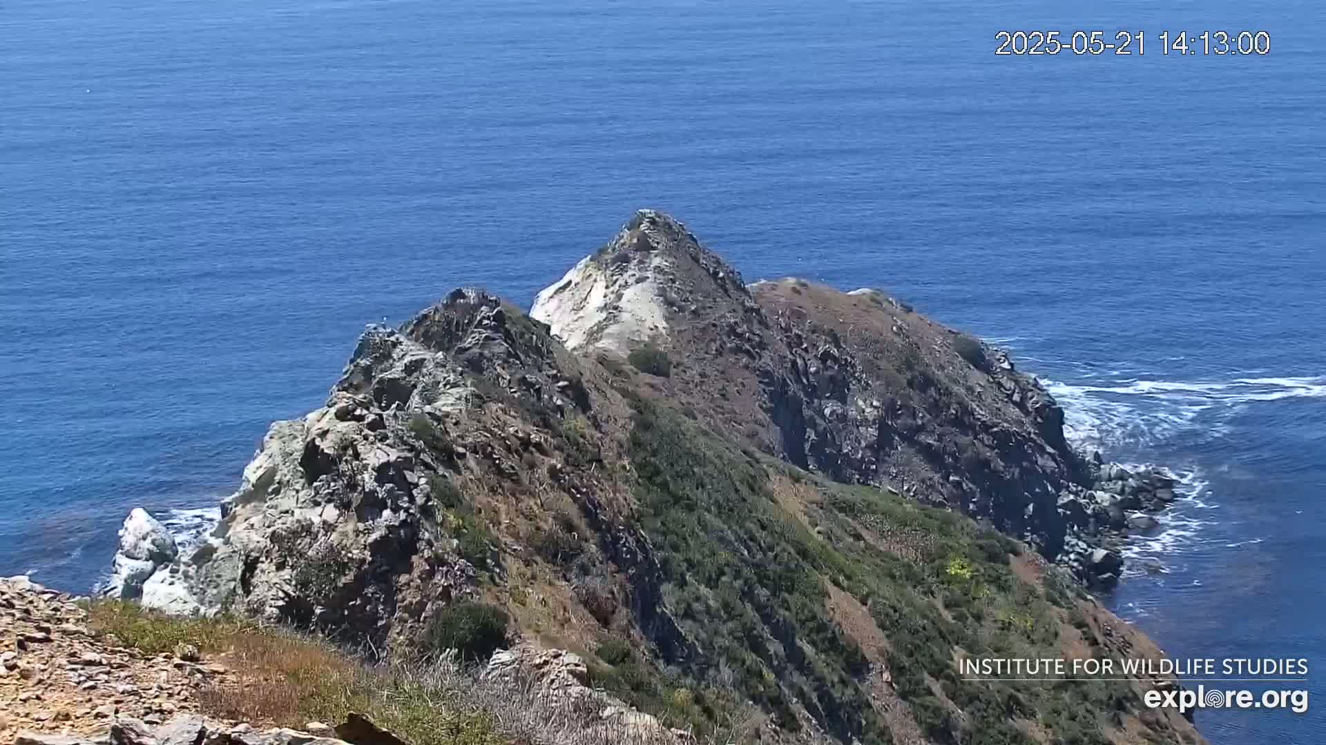 A rocky, vegetated cliffside overlooks a calm blue ocean with small waves breaking against the rocks.