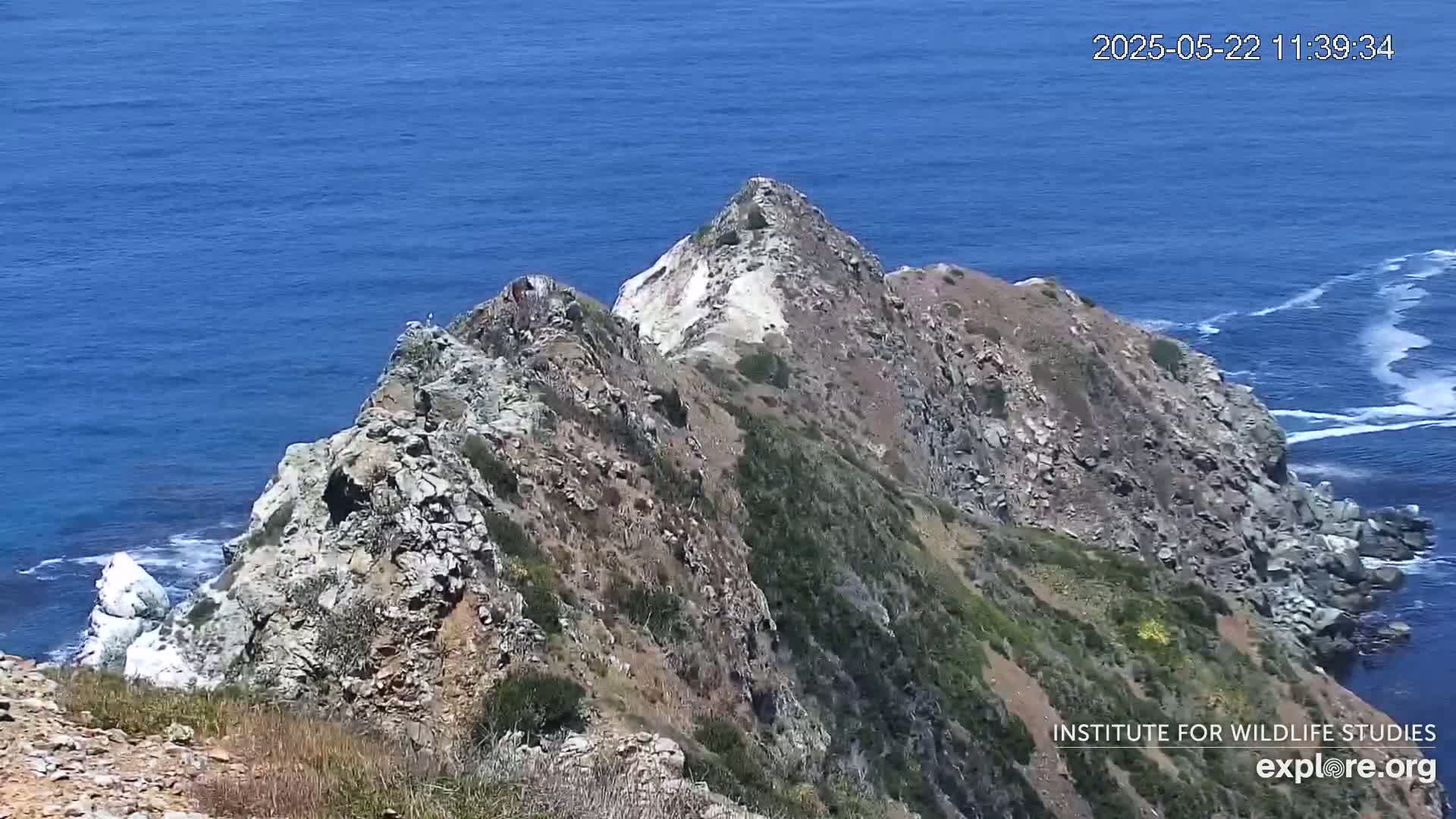 A rocky, sparsely vegetated cliffside descends to a blue ocean with small waves on a sunny day.