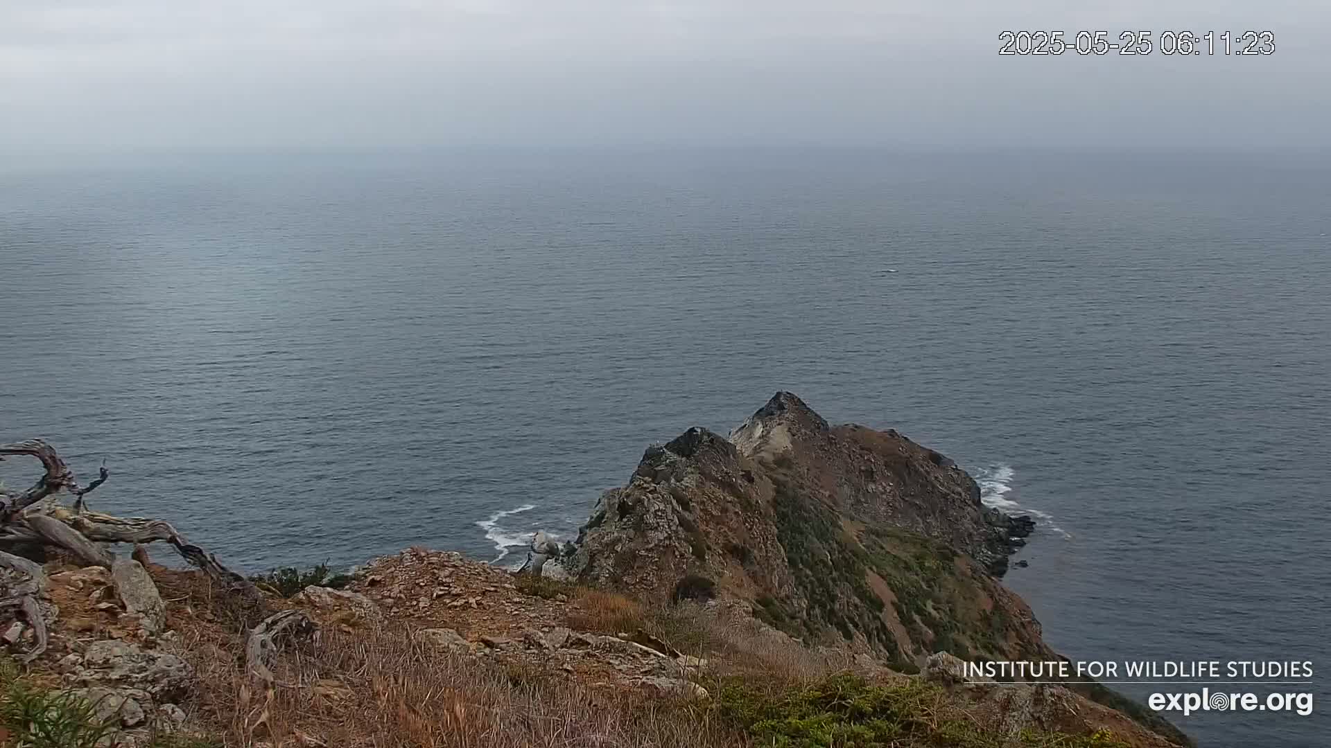 A rocky, cliffside overlooks a calm, gray ocean under an overcast sky.