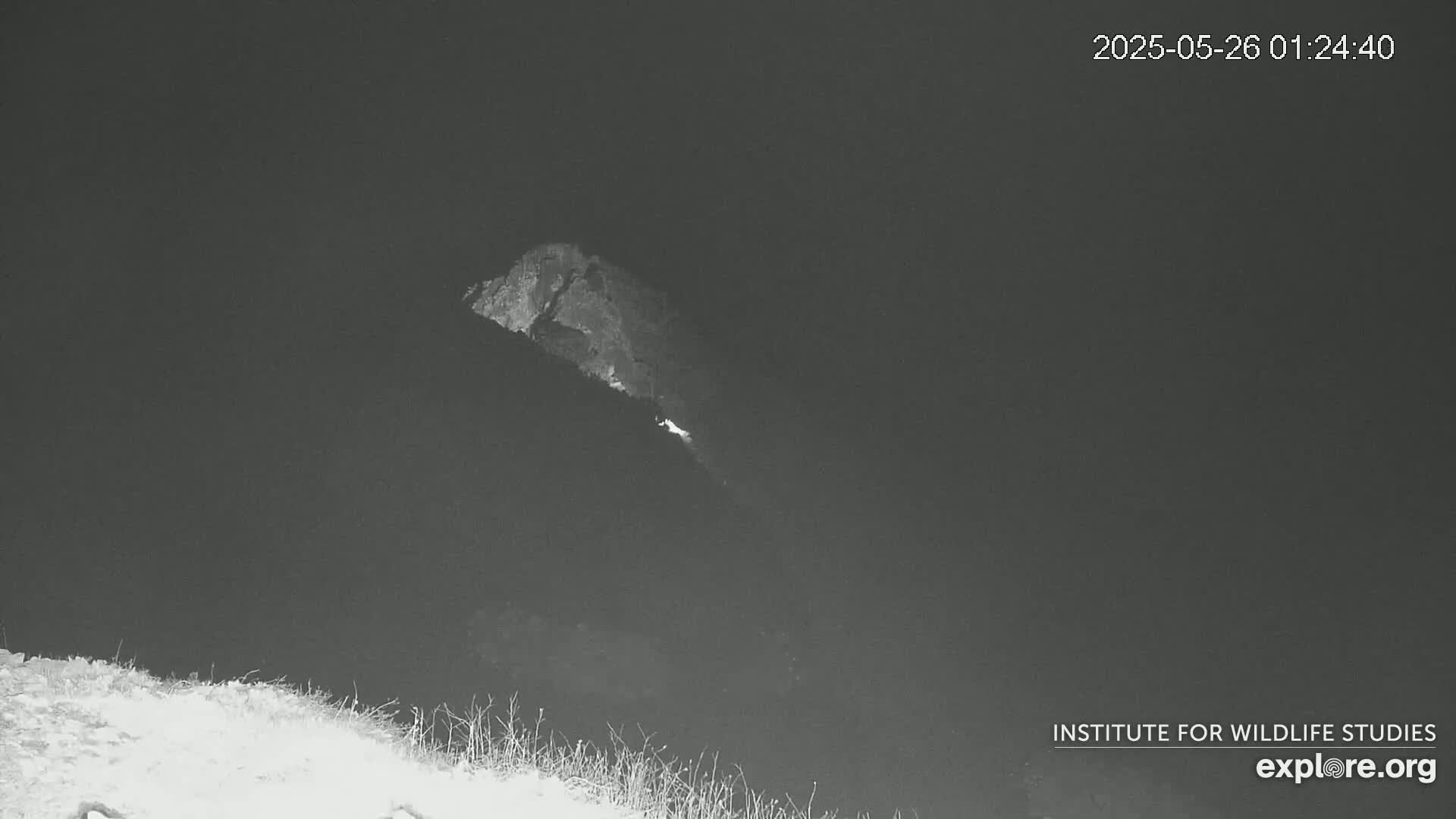 A nighttime, low-light image shows a rocky hillside with a small, bright light source visible lower down the slope.