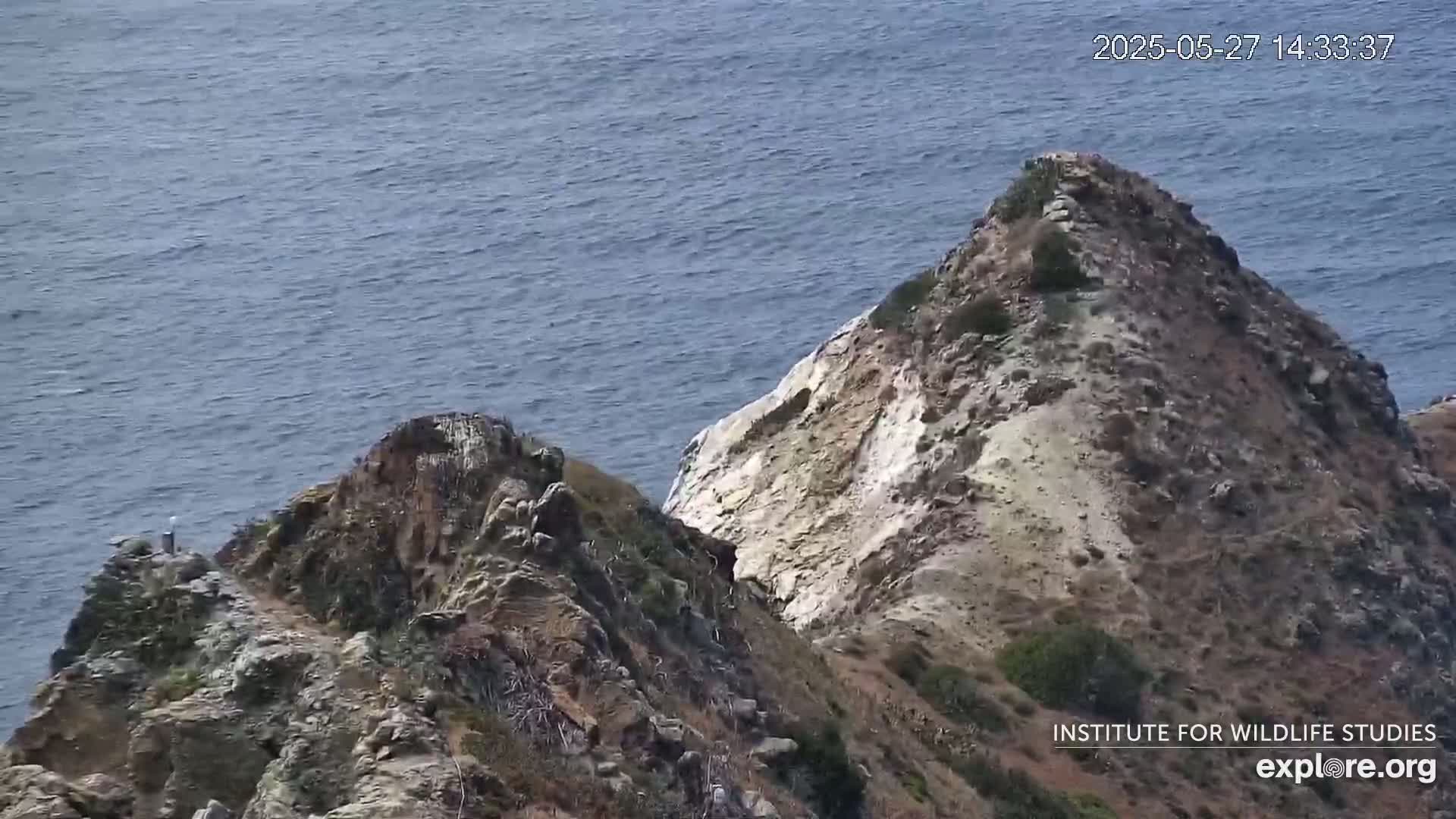 A rocky, sparsely vegetated coastal cliff face overlooks a calm ocean.