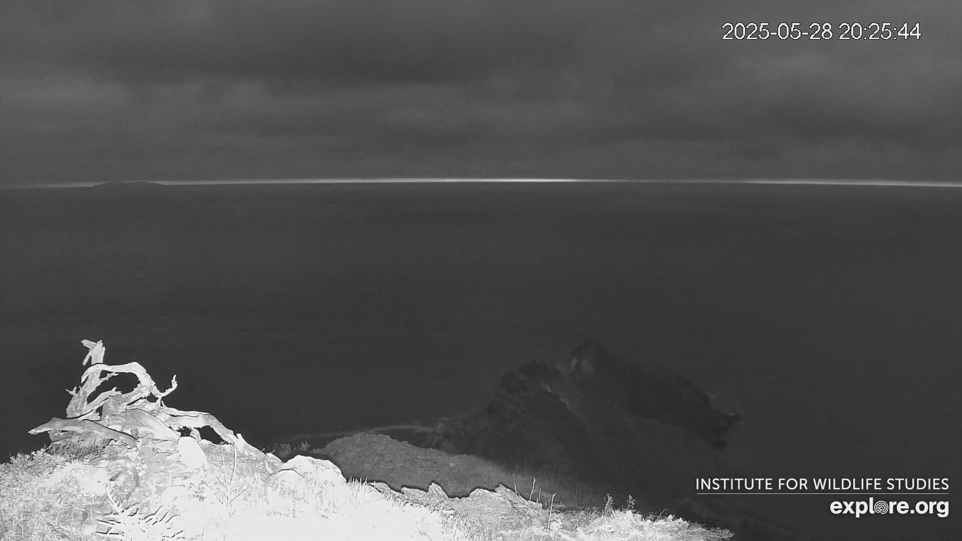 A dark, overcast night scene shows a rocky coastal overlook with a piece of driftwood in the foreground and a calm ocean extending to a faint horizon.