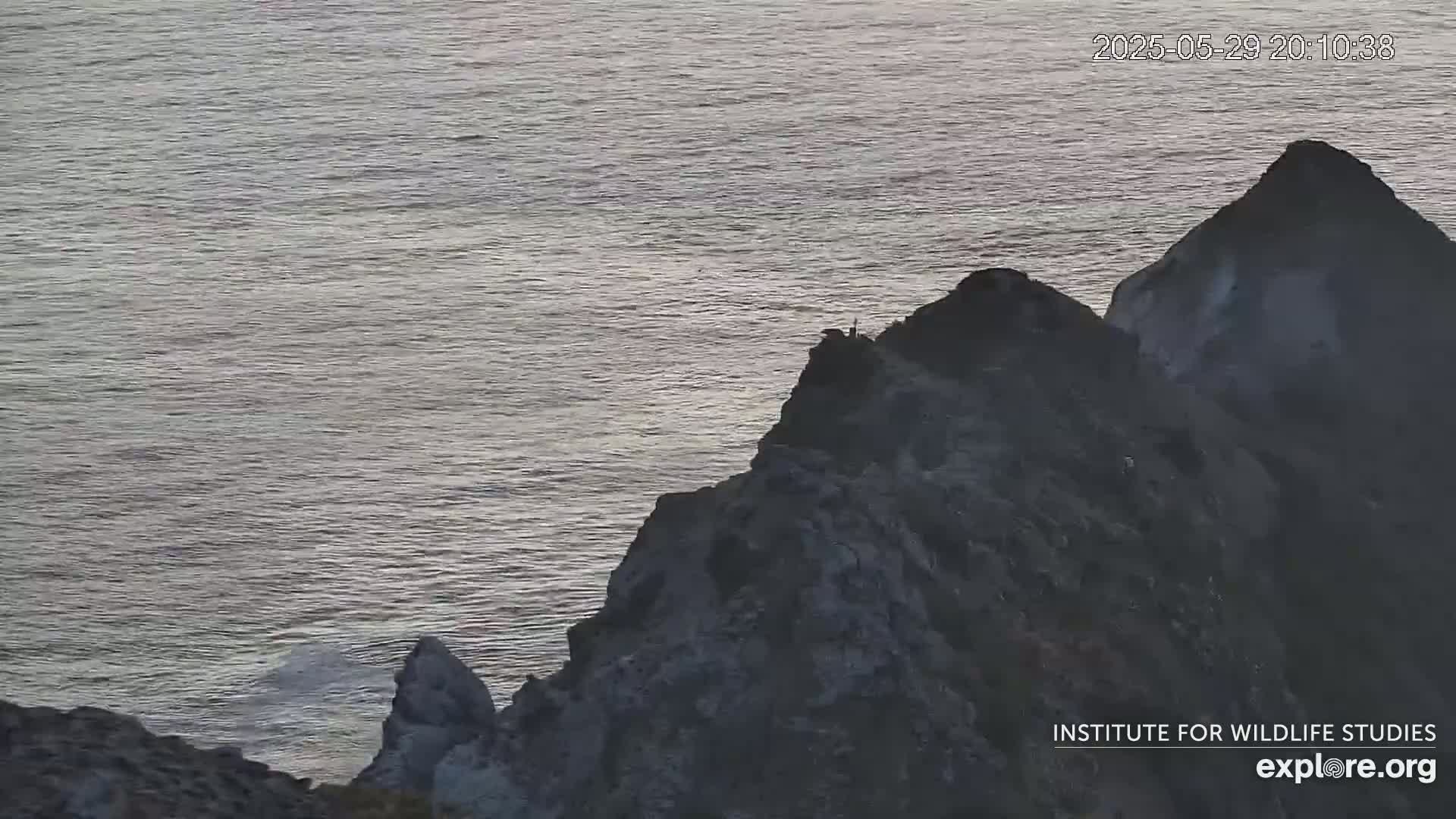A dark, rocky cliff overlooking a calm, gray ocean under a dusky sky.