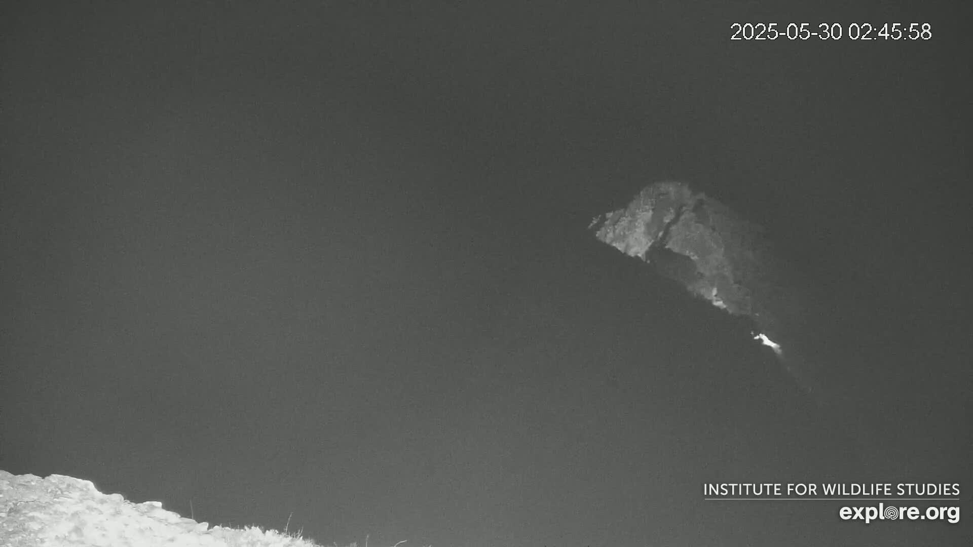 A nighttime, low-light image shows a bright, glowing area atop a dark hill or mountain.
