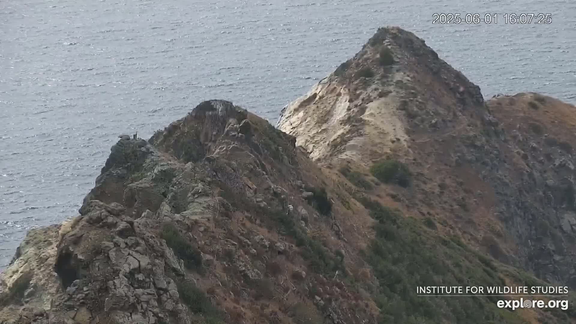 A rocky, sparsely vegetated cliff face descends to a calm, gray-blue ocean.