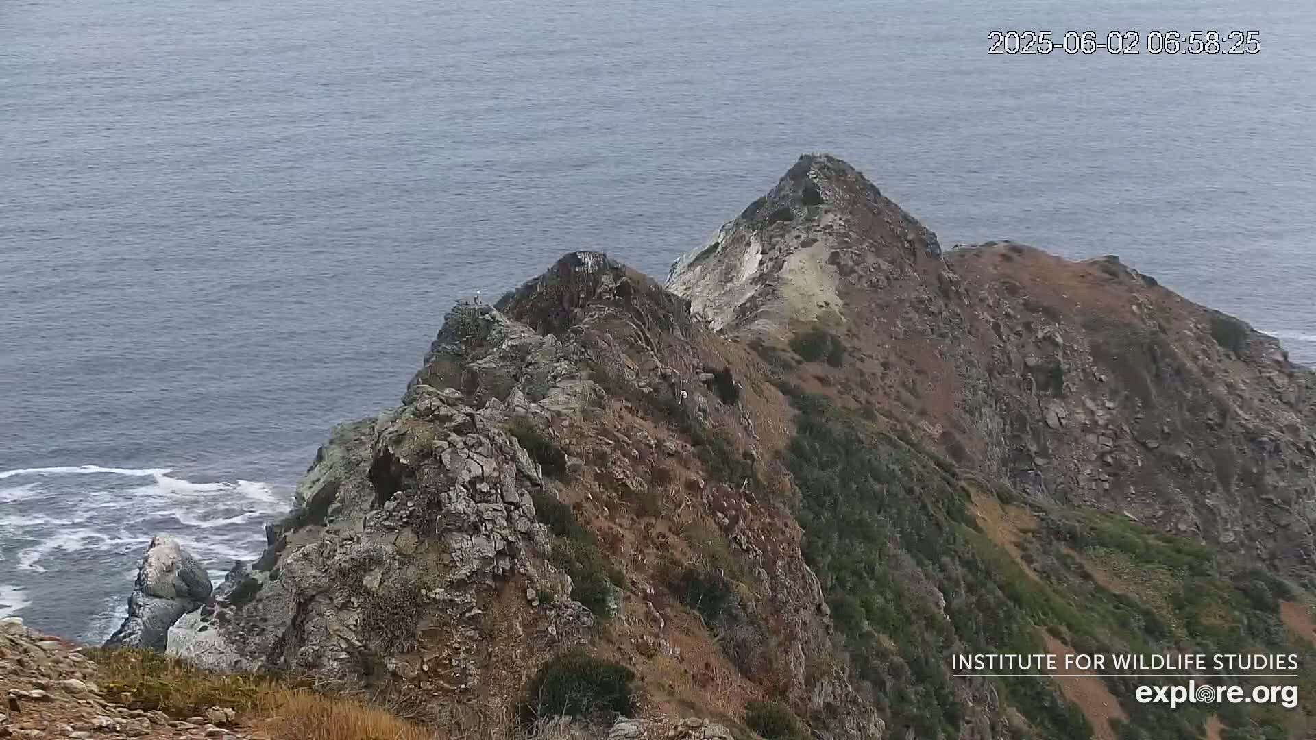 A rocky, vegetated cliffside overlooking a calm ocean with some small waves.