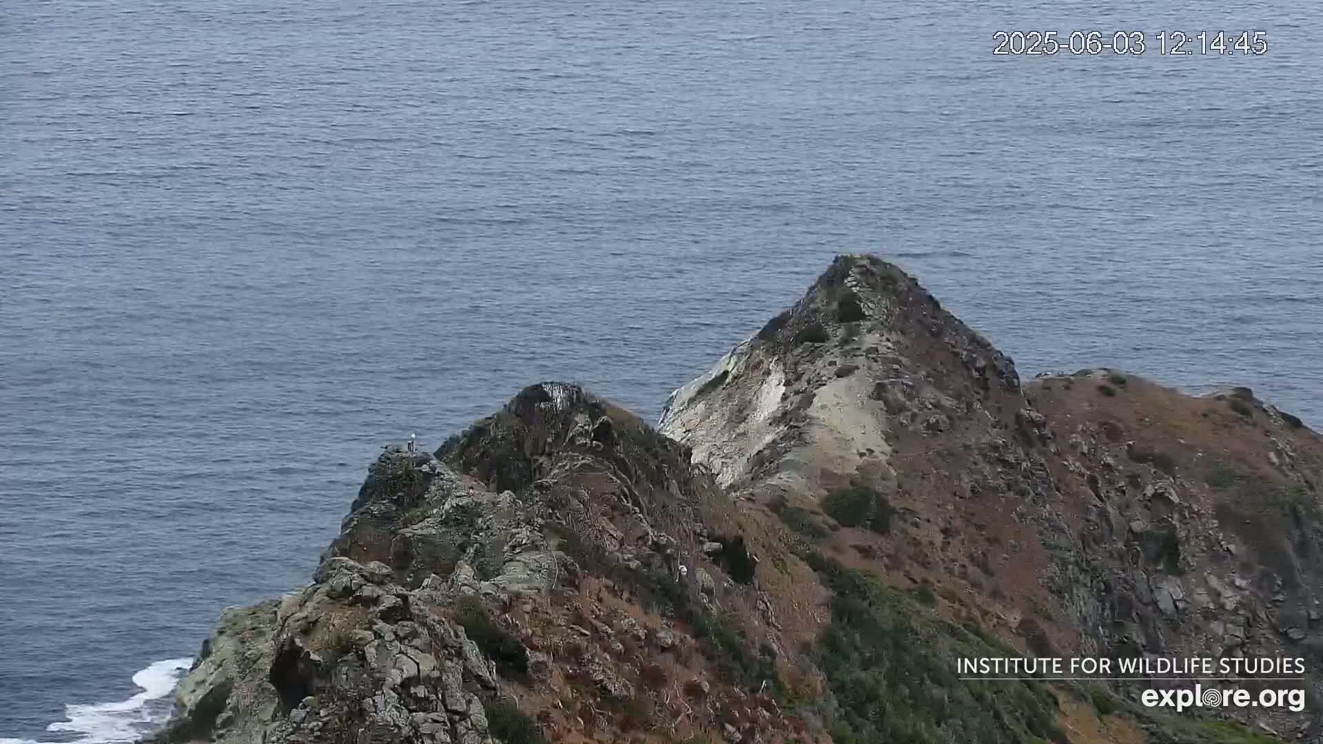 A rocky, cliffside point juts out into a calm, blue ocean on a mostly clear day.