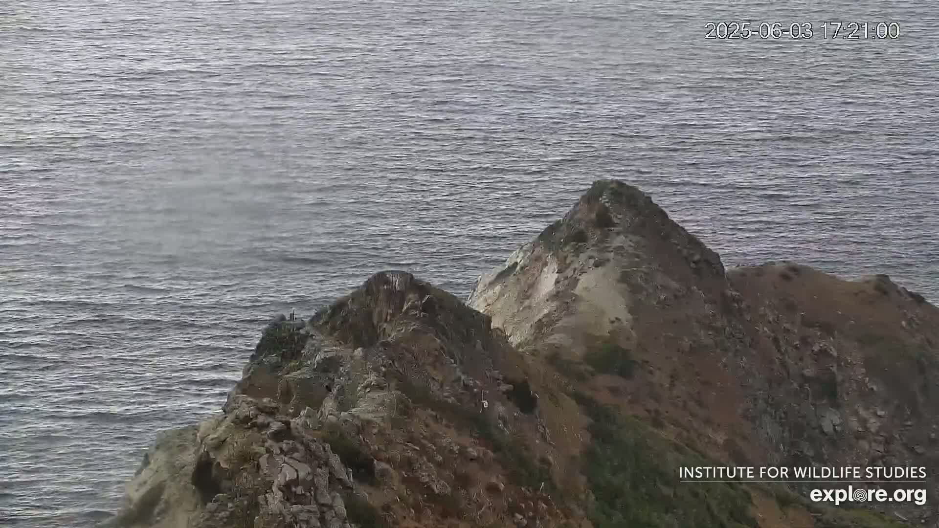 A rocky, brown and tan cliffside overlooking a calm, gray ocean with a light mist over the water.
