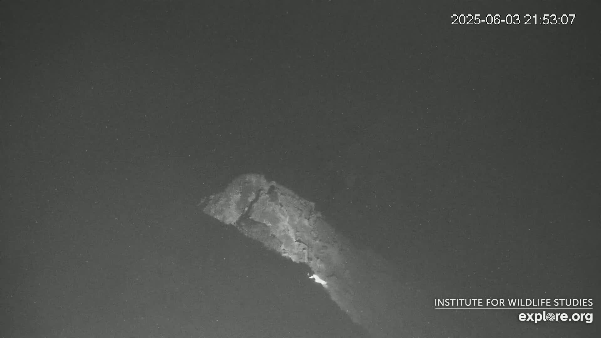 Santa Catalina Island  West End Bald Eagle Wildlife & Pasific View Live Cam - West End, Santa Catalina, Los Angeles, California, USA