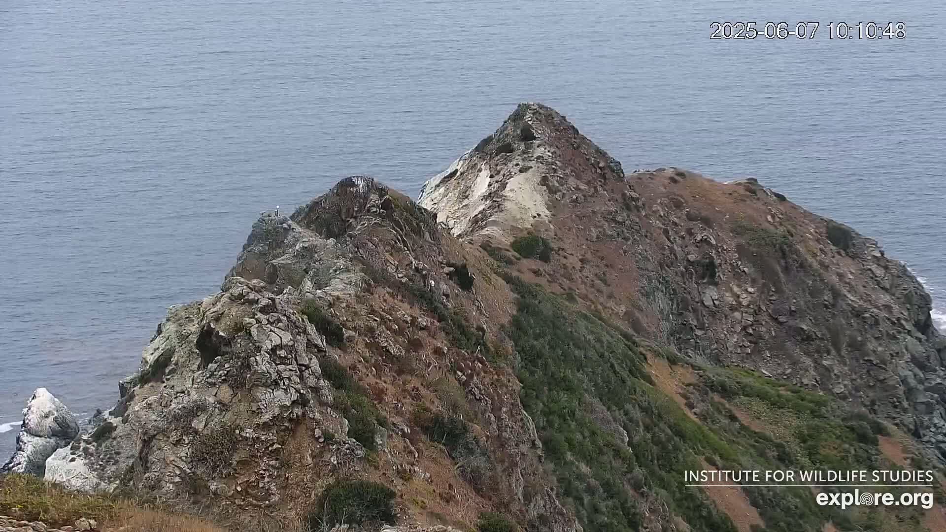 A rocky, vegetated cliff overlooking a calm ocean.