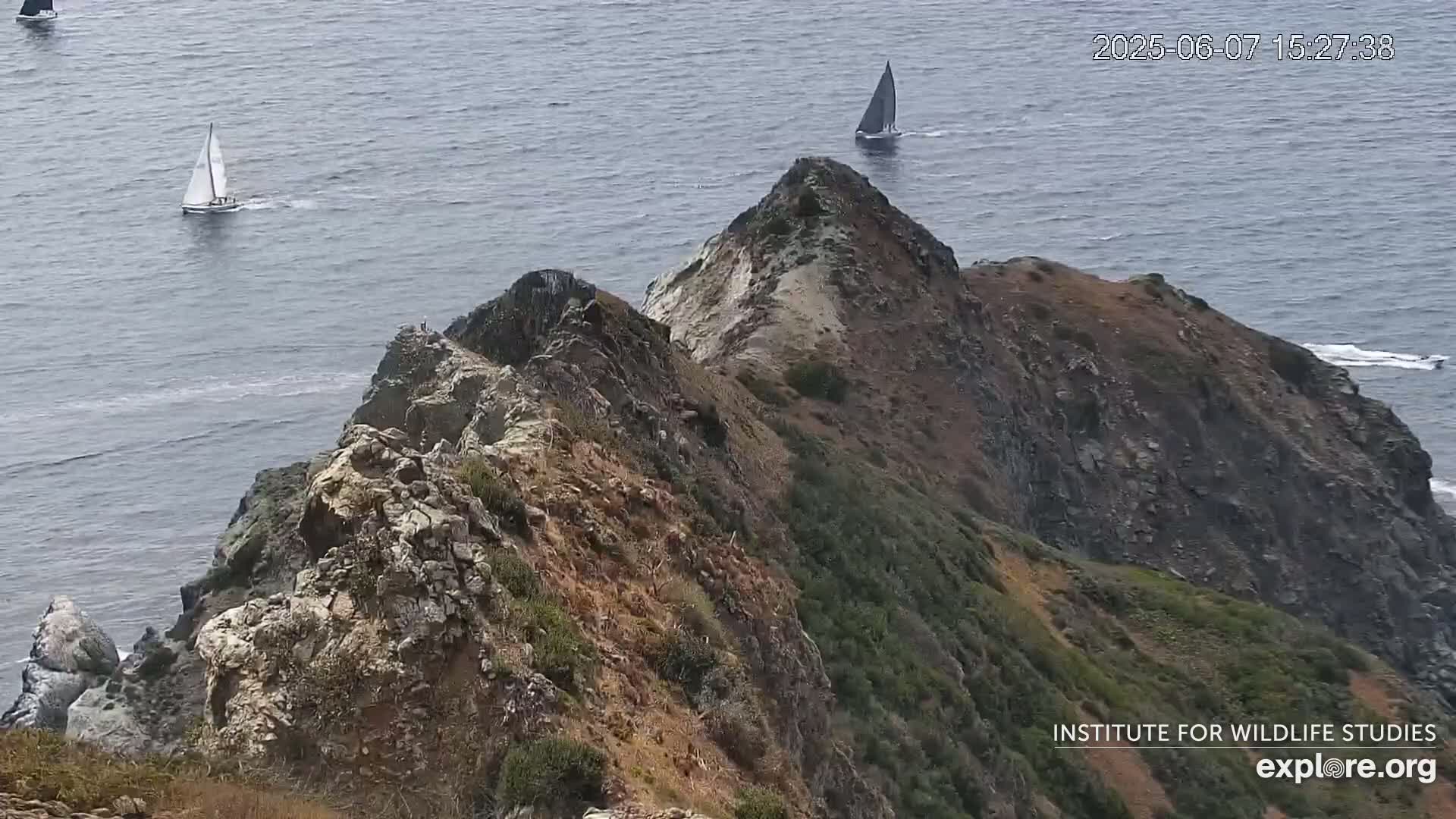 A rocky, vegetated cliff overlooking a calm ocean with two sailboats visible in the distance.