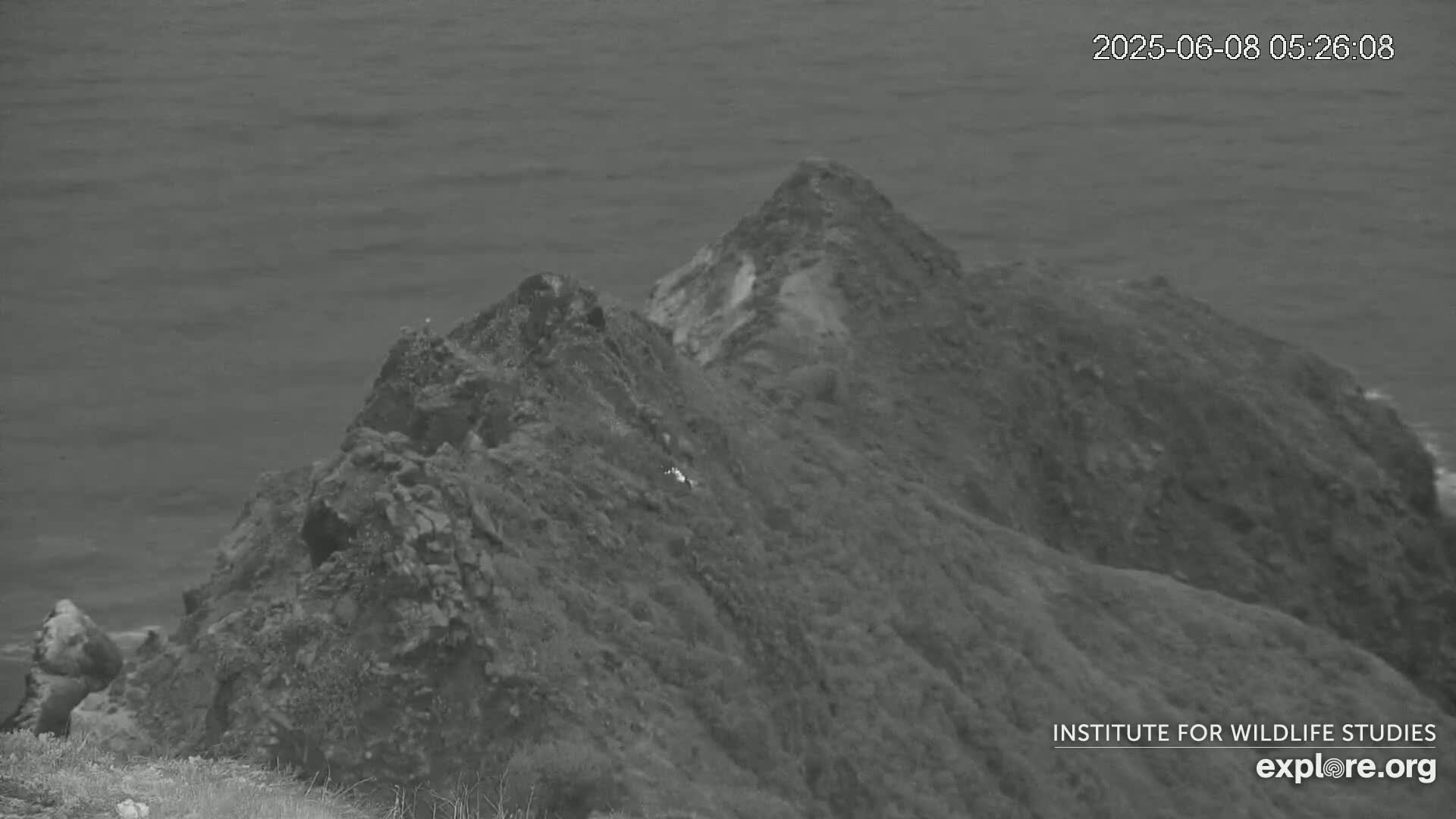 A rocky, vegetated cliff overlooks a calm ocean.