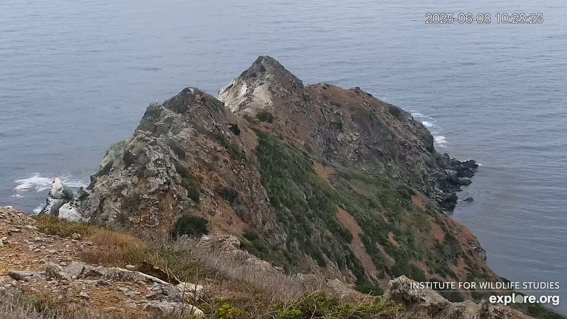 A rocky, scrub-covered cliff overlooking a calm ocean.