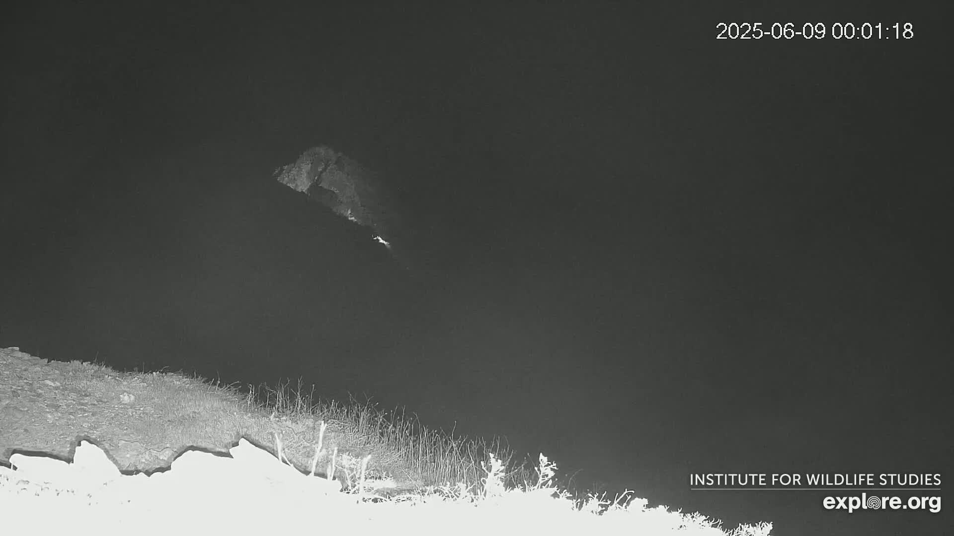 A dark, nighttime image shows a body of water with a shoreline of vegetation, and a blurry, light-colored object appears to be falling from the sky into the water.