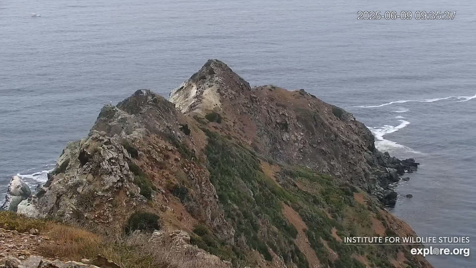 A rocky, vegetated cliffside descends to a calm ocean with small waves breaking along the shore.