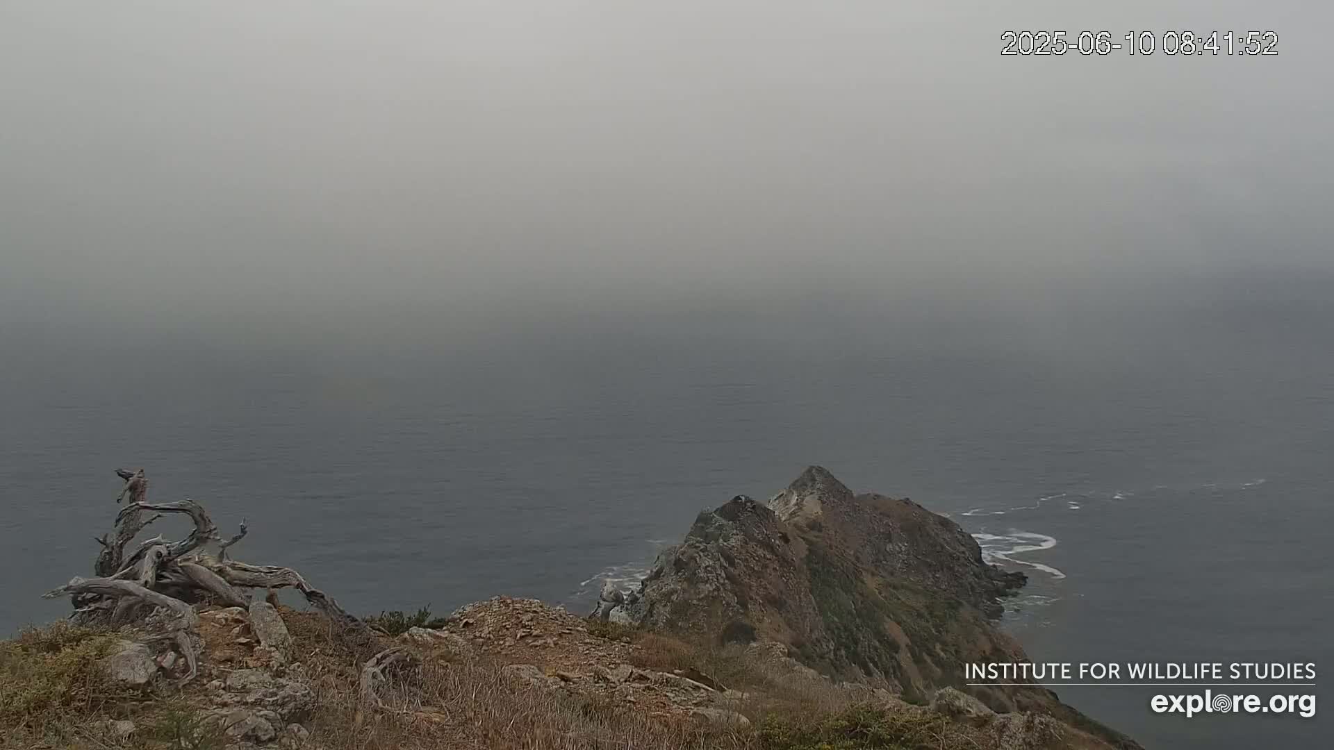 A hazy view of a rocky coastal cliff overlooking a calm ocean under a foggy sky.