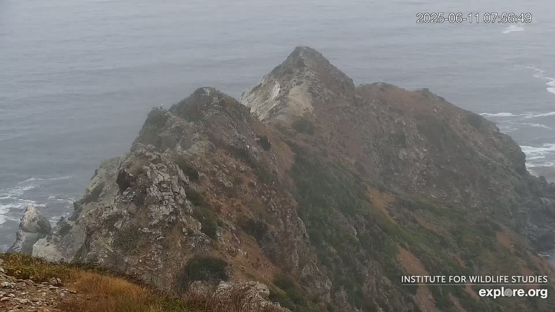 A foggy view of a rocky, mountainous coastline overlooking a gray ocean.