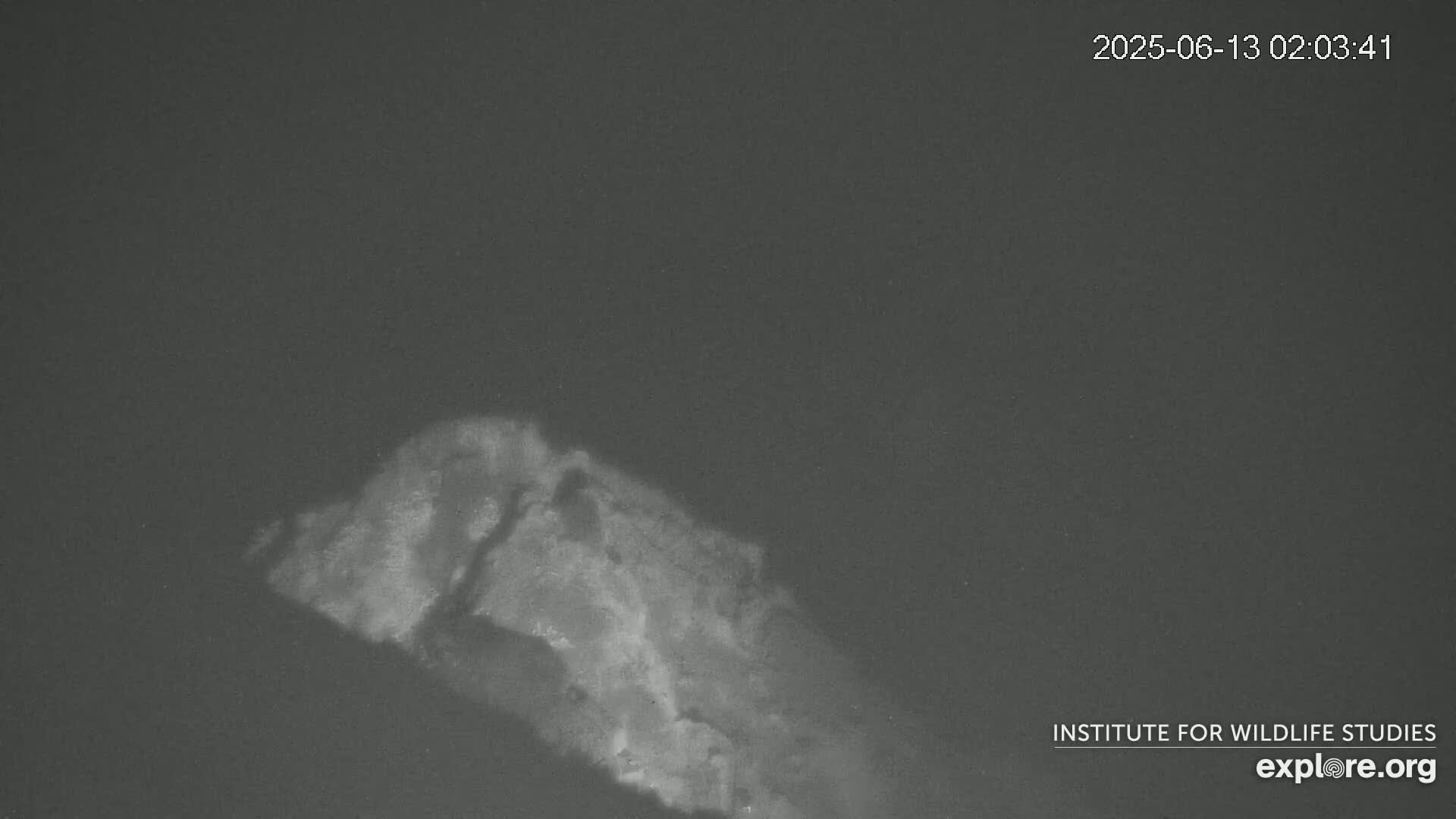 A grainy, low-light image shows a light-colored, irregular shape, possibly a rock formation or landmass, against a dark background under nighttime conditions.