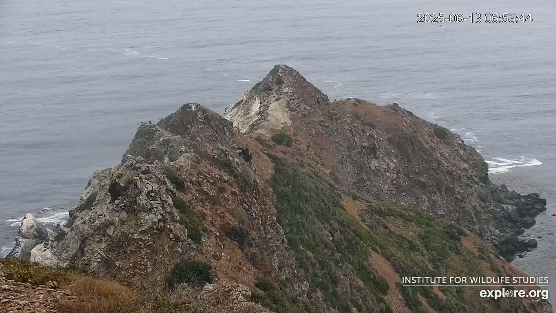 A rocky, vegetated cliffside descends to a calm ocean with small waves.