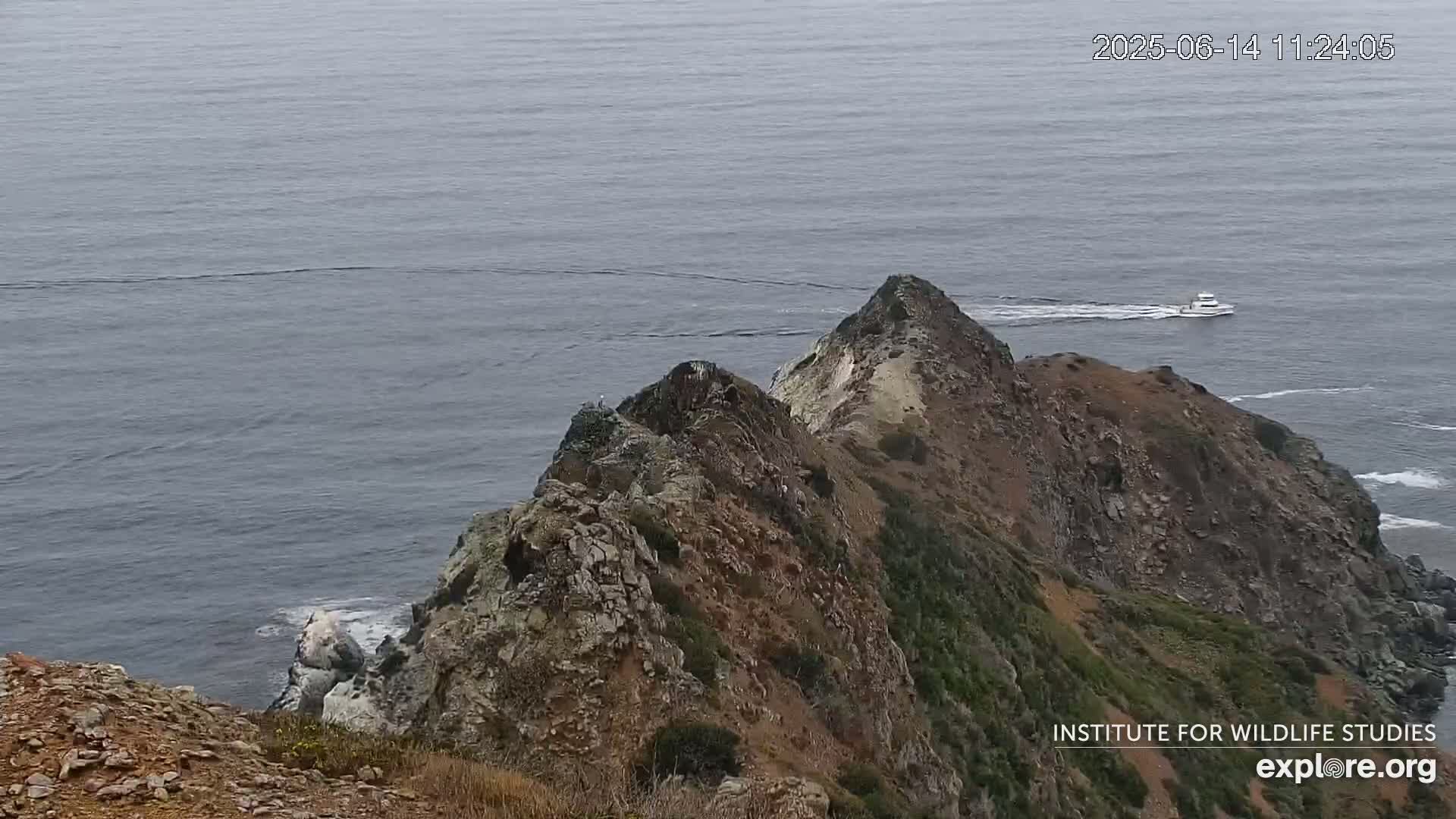 A rocky, coastal cliff overlooks a calm ocean where a small boat is visible in the distance.