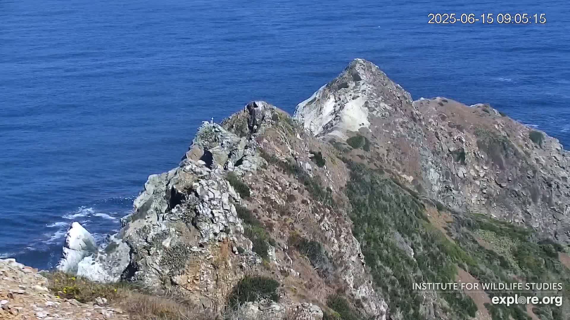 Rocky cliffs with sparse vegetation descend to a blue ocean with small waves under a clear sky.
